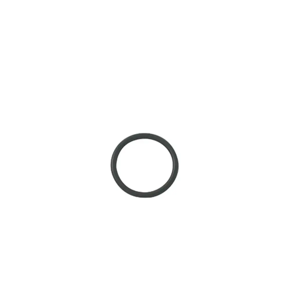 O-Ring in Schwarz, kreisförmig, neutral gehalten, geeignet als Ersatzteil von Kludi.